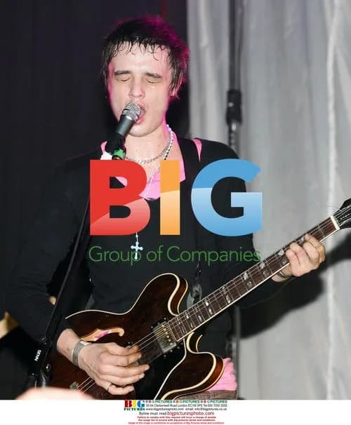 Pete Doherty Babyshambles Gig in Carlow, Ireland