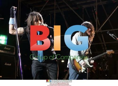 Red Hot Chilli Peppers Guggenheim Gig