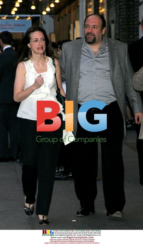James Gandolfini at Julia Roberts Play Premiere