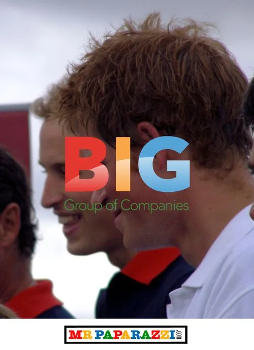 Prince Harry and Prince William Joking
