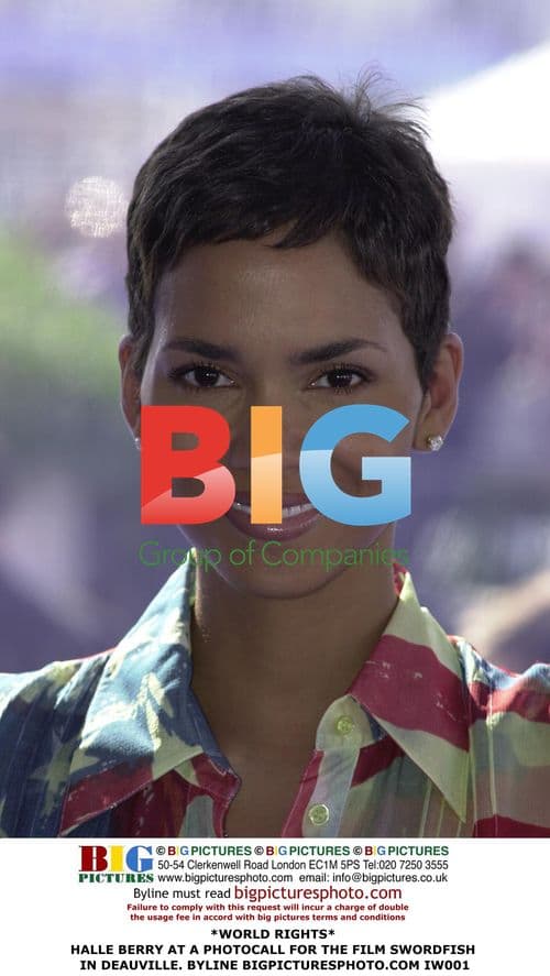 Halle Berry at Swordfish Photocall