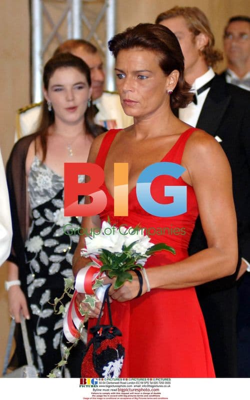 Princess Stephanie at 58th Red Cross Ball