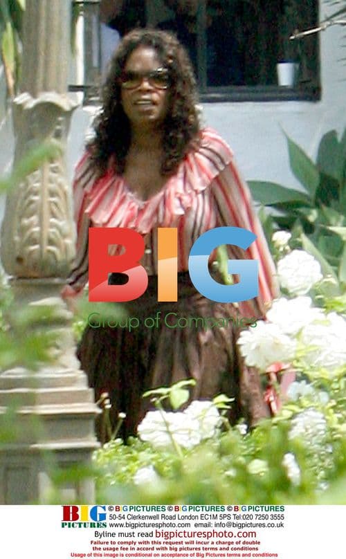 Oprah Winfrey out for lunch with friends