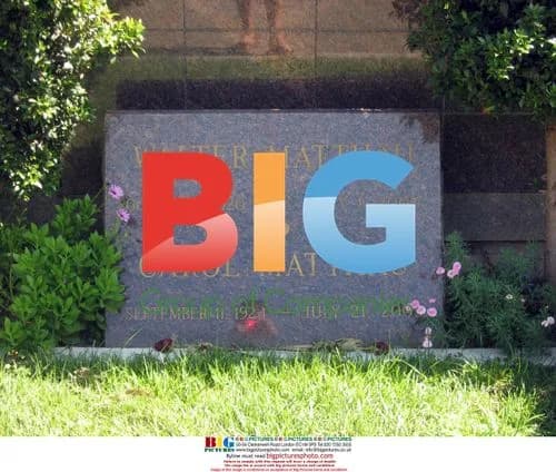 Paris Hilton Buys Burial Plot Next to Marilyn Monroe