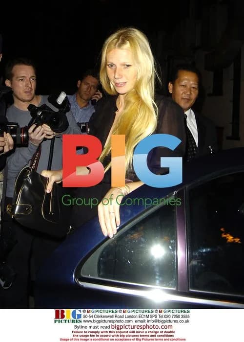 Gwyneth Paltrow at Madonna's 48th birthday