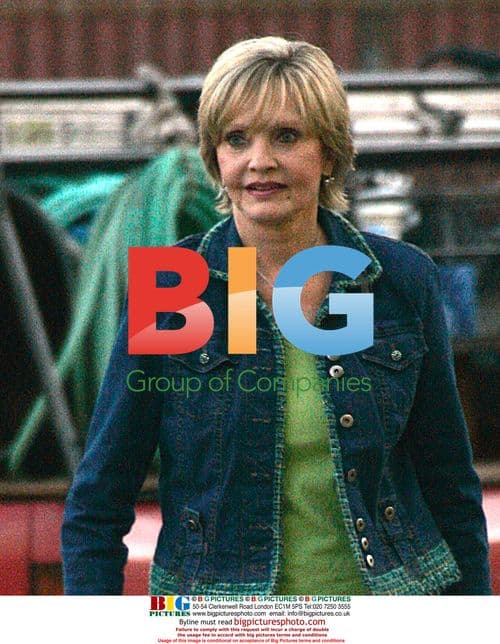 Former Brady Bunch Star Florence Henderson Spotted in Culver City