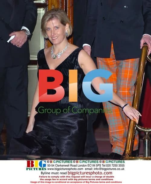 Sophie Wessex at Ritz Hotel