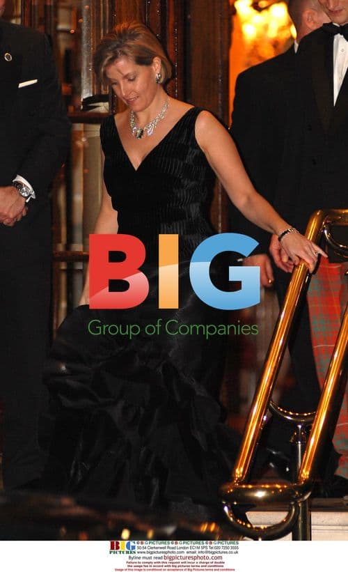 Sophie Wessex at private royal function