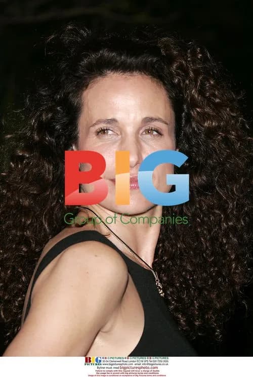 Andie MacDowell at 'Dreamgirls' Premiere