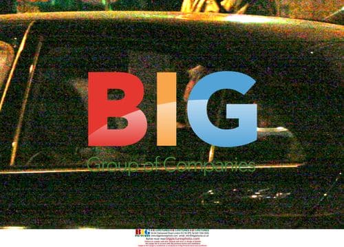 Sting Leaving Restaurant with Mystery Woman