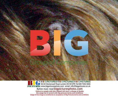 Britney Spears Gets Tattoo With Sister