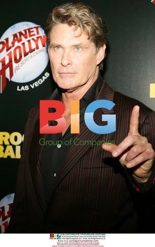 David Hasselhoff at 'Rocky Balboa' premiere