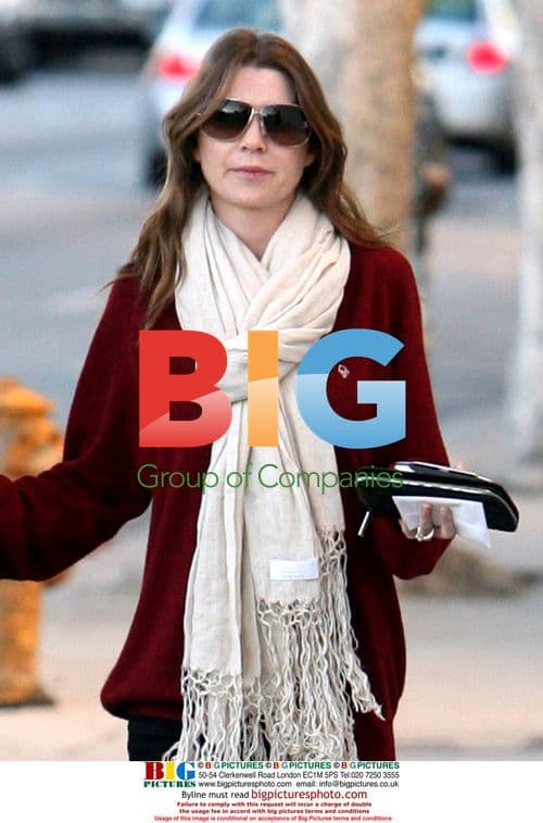 Ellen Pompeo and Chris Ivery Shopping