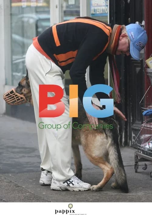 Chris Evans Spotted Grooming Dog
