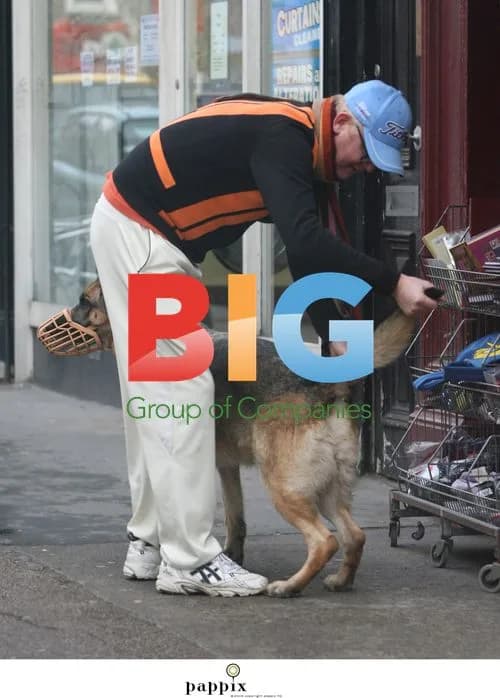 Chris Evans Grooms Dog on Street