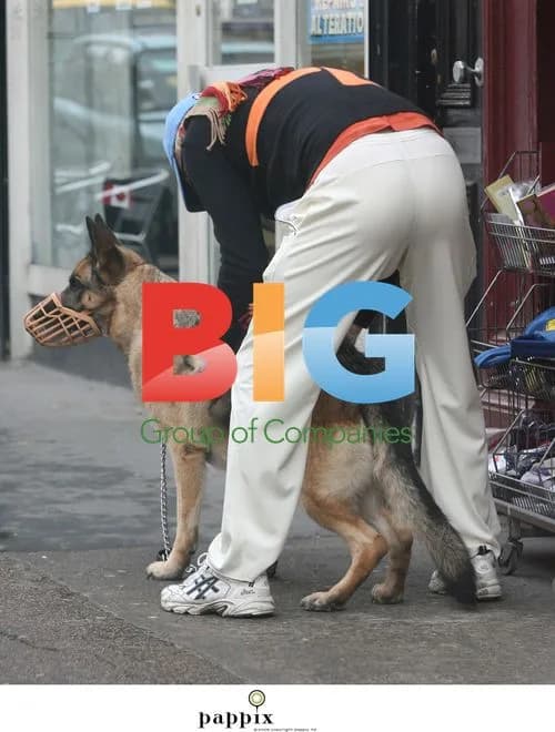 Chris Evans spotted grooming dog in London