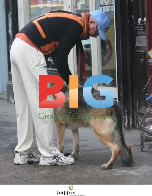 Chris Evans Spotted Grooming Dog in London