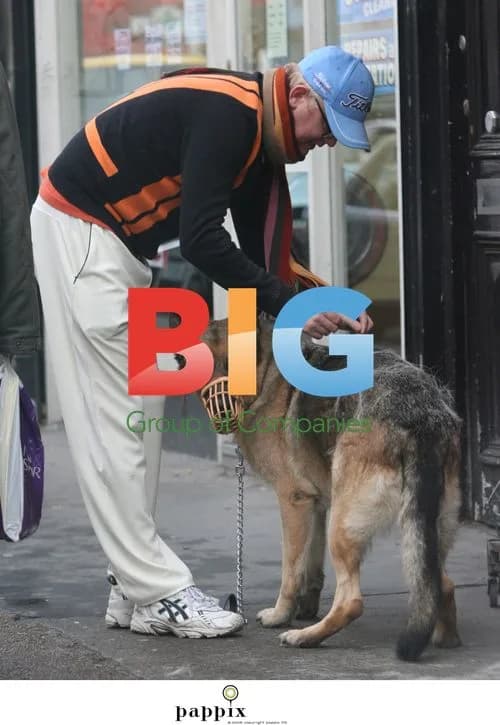 Chris Evans Spotted Grooming Dog on Street