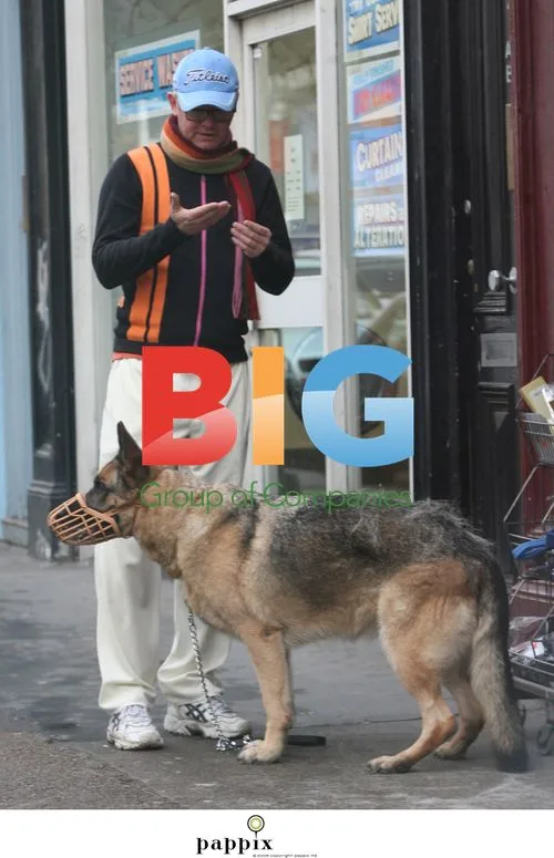 Chris Evans Spotted Grooming His Dog
