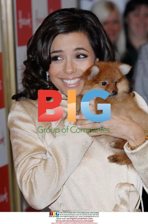 Eva Longoria at Harrods sale opening