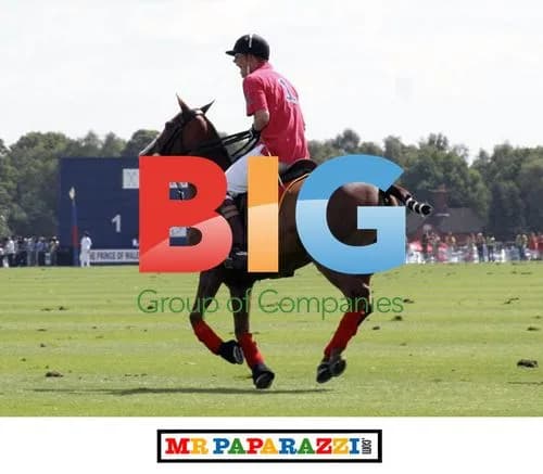 Prince Harry plays polo in Windsor