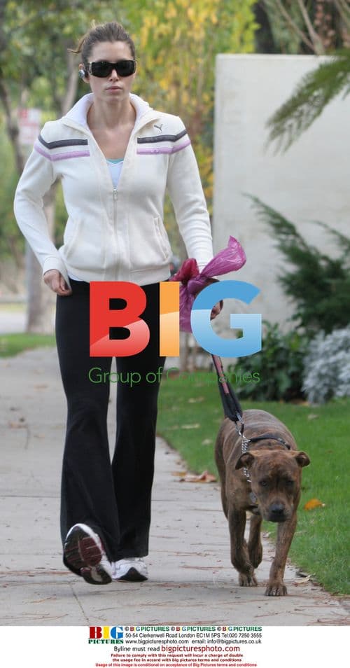Jessica Biel walks her dog in Santa Monica
