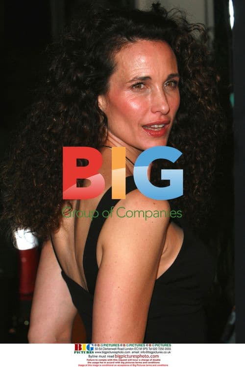 Andie Macdowell at 'Dreamgirls' premiere