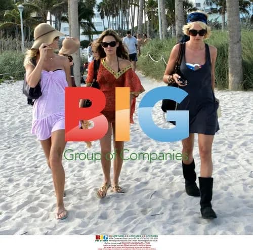 Kimberly Stewart and friends on Miami beach
