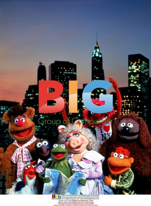 The Muppets Take Manhattan Filming in Hollywood