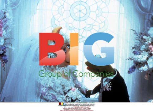 The Muppets Take Manhattan