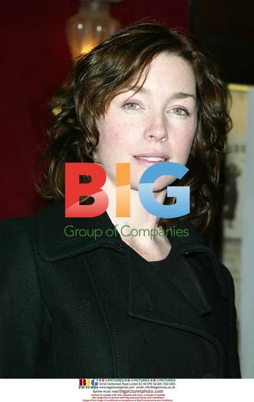 Julianne Nicholson at "The Pink Panther" premiere
