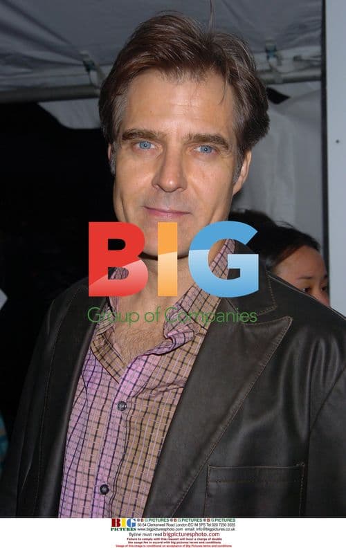 Henry Czerny at The Pink Panther premiere