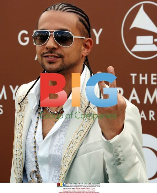 Sean Paul at 48th Annual Grammy Awards
