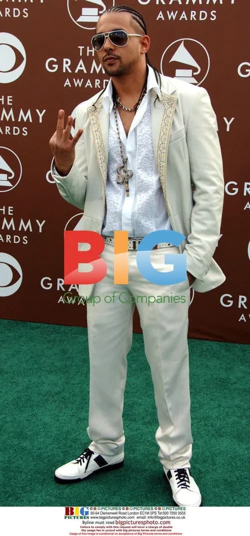 Sean Paul at 48th Grammy Awards