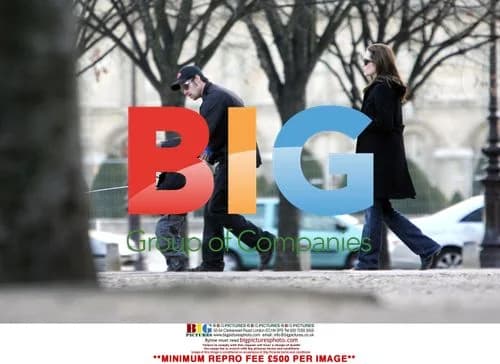 Brad Pitt and Angelina Jolie with son Maddox in the Park