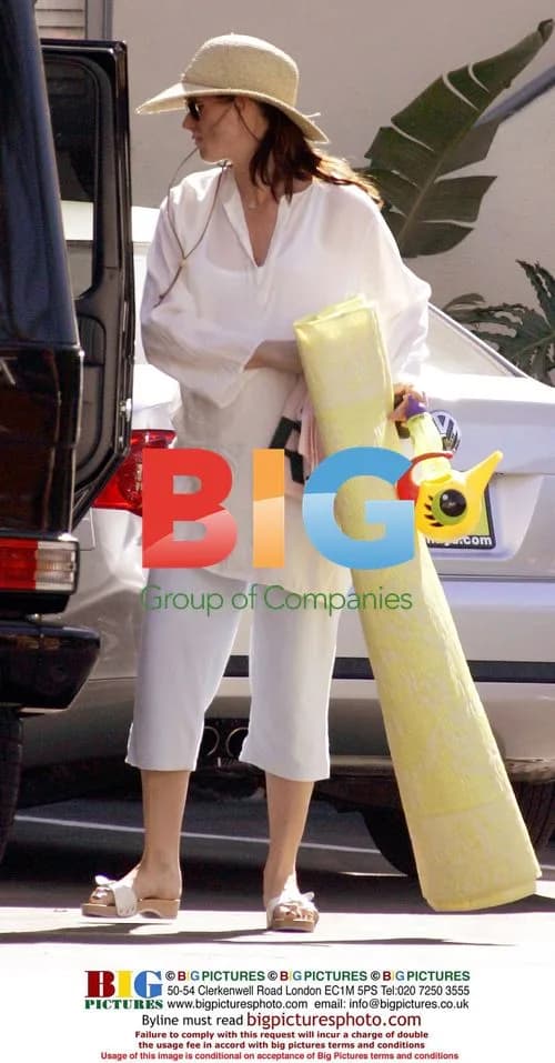 Pregnant Brooke Shields carries carpet in Malibu