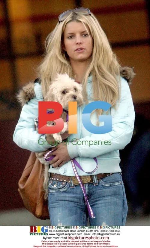 Jessica Simpson films 'Employee of the Month' in Santa Fe
