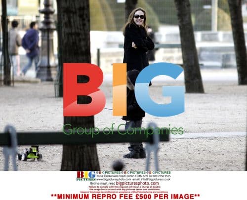 Brad Pitt, Angelina Jolie, and Maddox enjoy day in Park