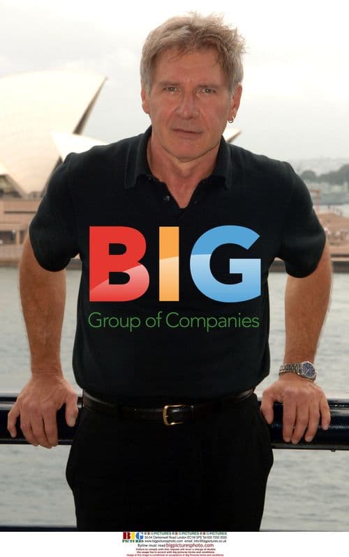 Harrison Ford at 'Firewall' Press Conference