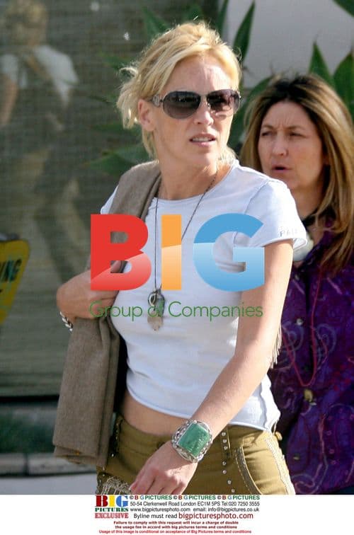 Sharon Stone's Busy Day Shopping