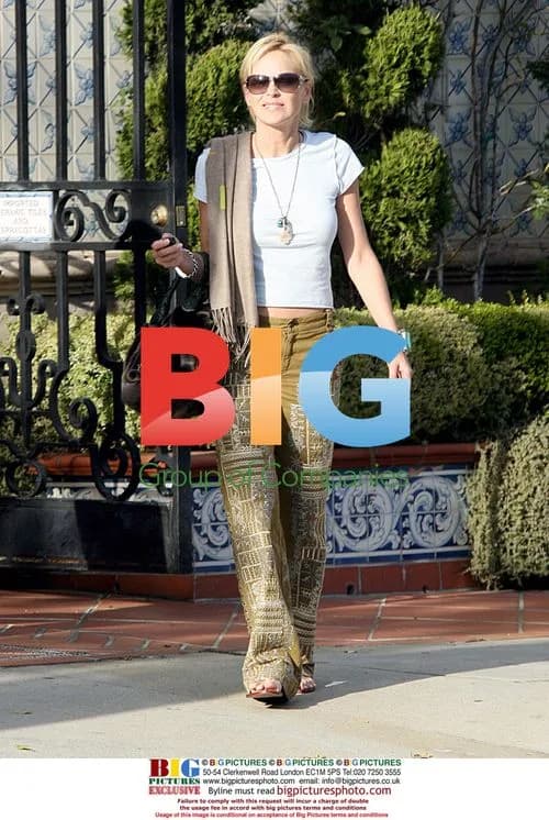 Sharon Stone's Busy Day Out