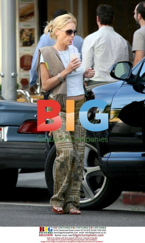 Sharon Stone's Busy Day in Beverly Hills