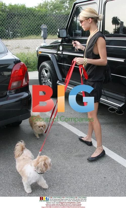 Nicole Richie visits hair salon with dogs
