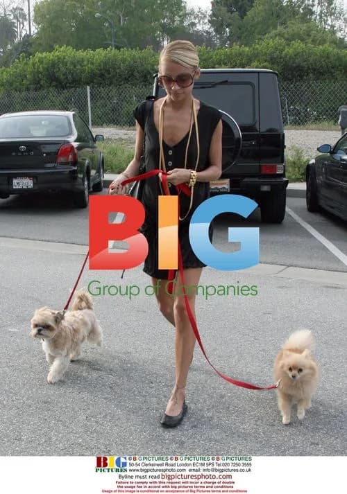 Nicole Richie visits hair salon with dogs