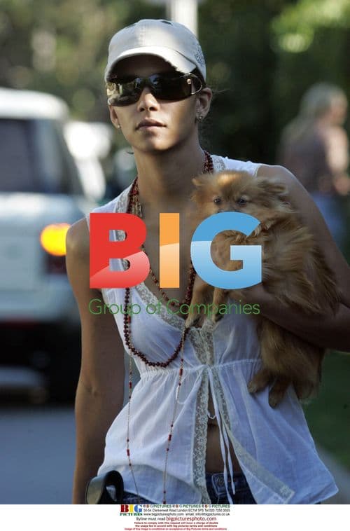 Catwoman Saves Dog in West Hollywood