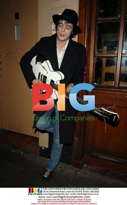 Pete Doherty entertains fans before performance