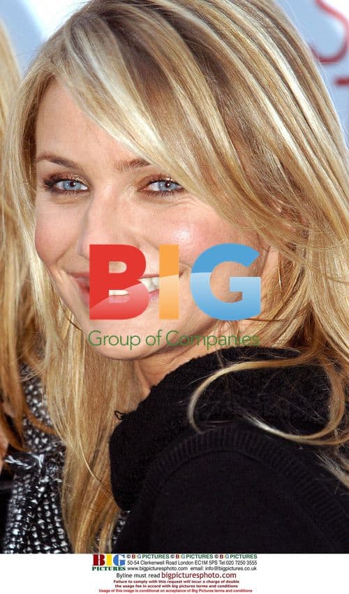 Actresses Cameron Diaz, Toni Collette and Director Curtis Hanson