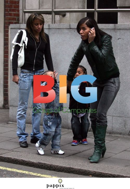 Ms Dynamite Arrested After Incident