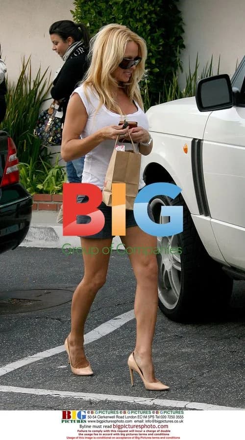 Pamela Anderson goes shopping in Malibu