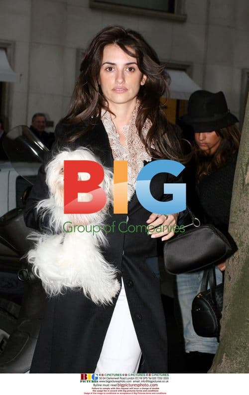 Penelope Cruz and family in Paris